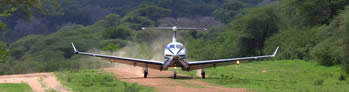 Flying-Safari-2