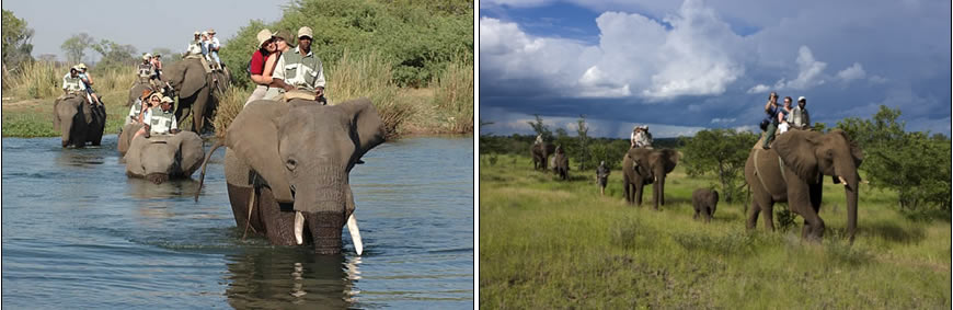 elephant-back-safaris