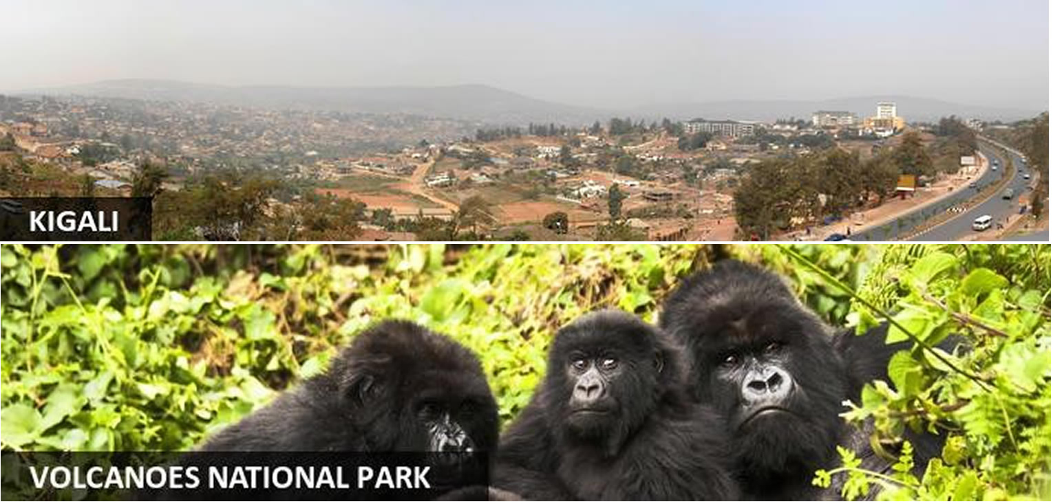 4 Days Rwanda Gorilla & Golden Monkey Tracking Tour
