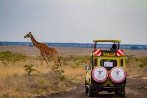 Nairobi National Park  Game Drive